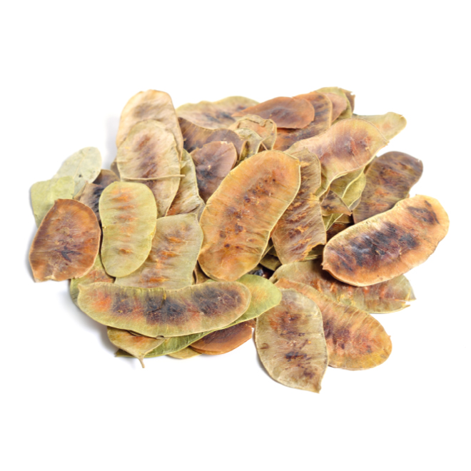 Sen de Alejandría Calma Natural